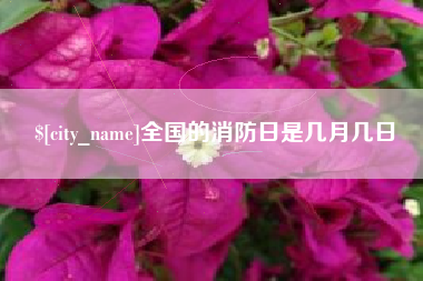 利津全国的消防日是几月几日