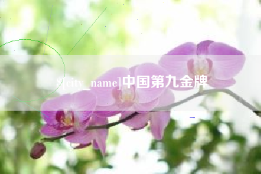 利津中国第九金牌