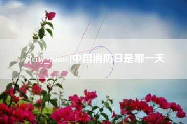 利津中国消防日是哪一天