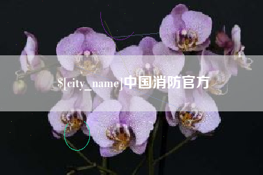利津中国消防官方