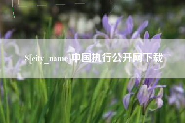 利津中国执行公开网下载