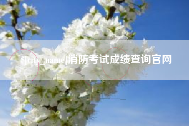 利津消防考试成绩查询官网