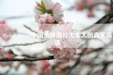 利津中国金牌图片大全大图真实高清