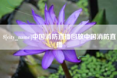 利津中国消防直播回放中国消防直播