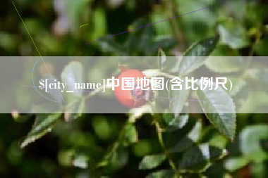 利津中国地图(含比例尺)