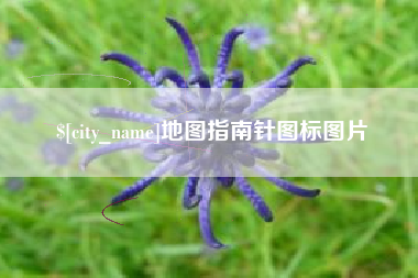 利津地图指南针图标图片