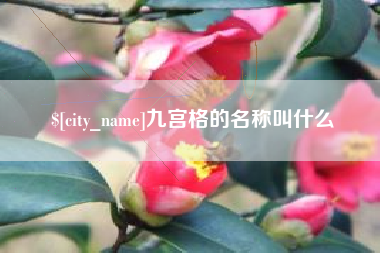 利津九宫格的名称叫什么