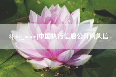 利津中国执行信息公开网失信