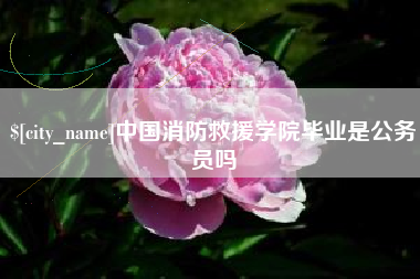 利津中国消防救援学院毕业是公务员吗