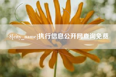 利津执行信息公开网查询免费
